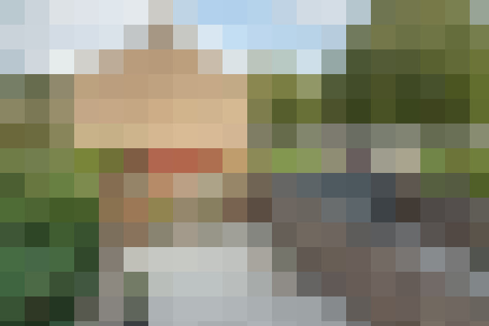Image 17