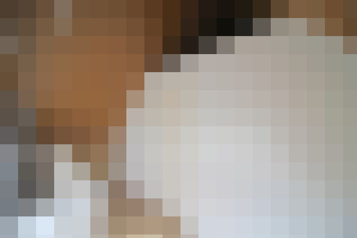  / #21