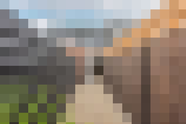 Image 32