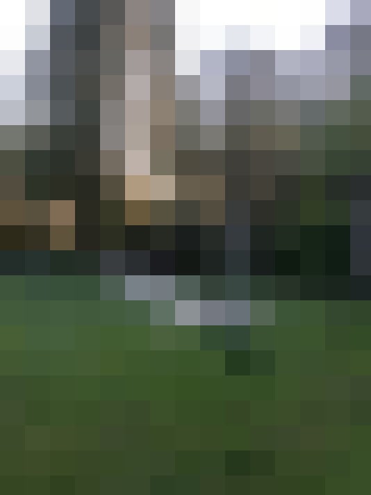 Image 20