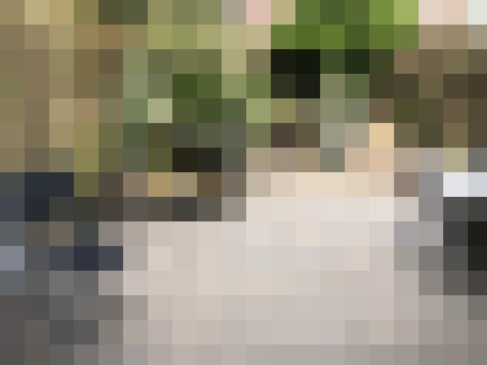 Image 22