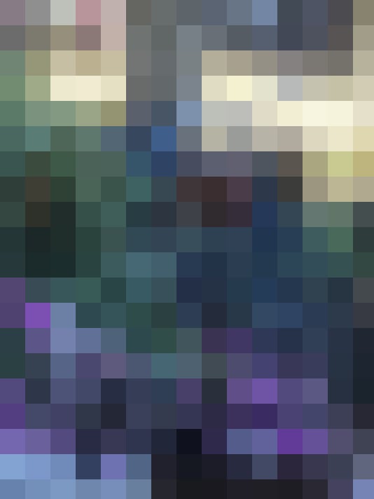 Image 16