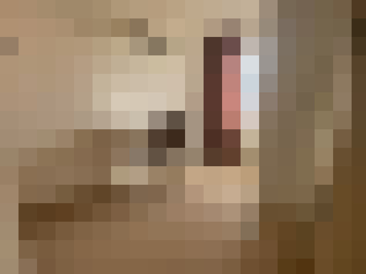  / #9