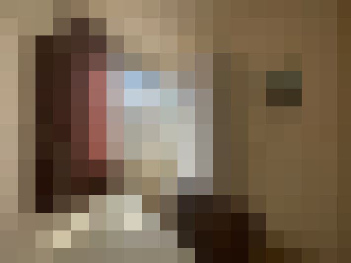  / #14