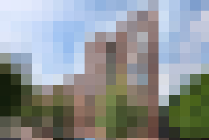 Image 20