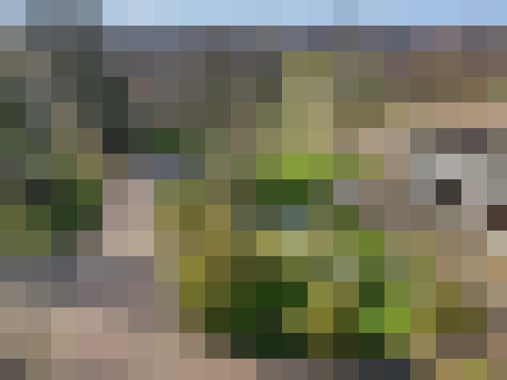  / #16