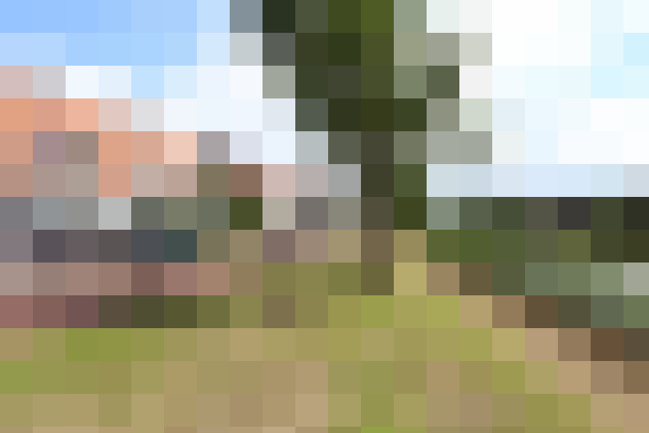 Image 30