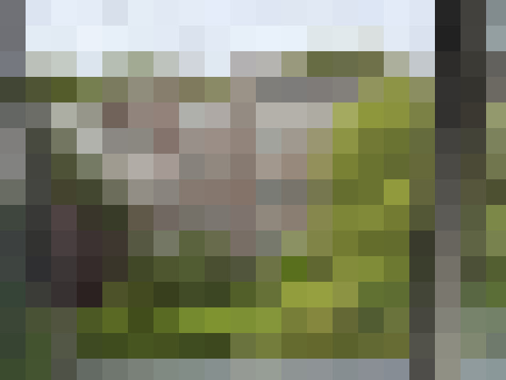 Image 27