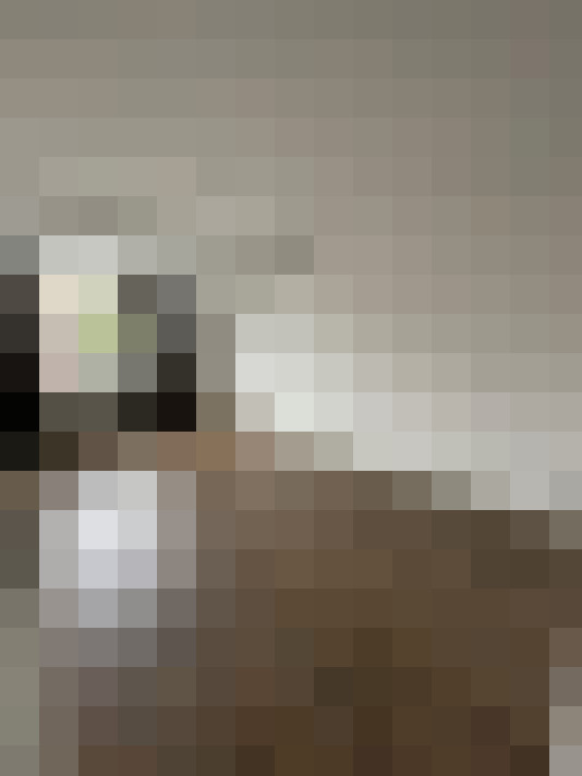 Image 20