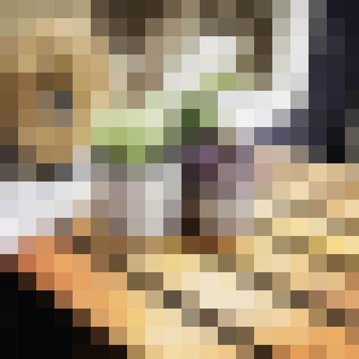 Image 19