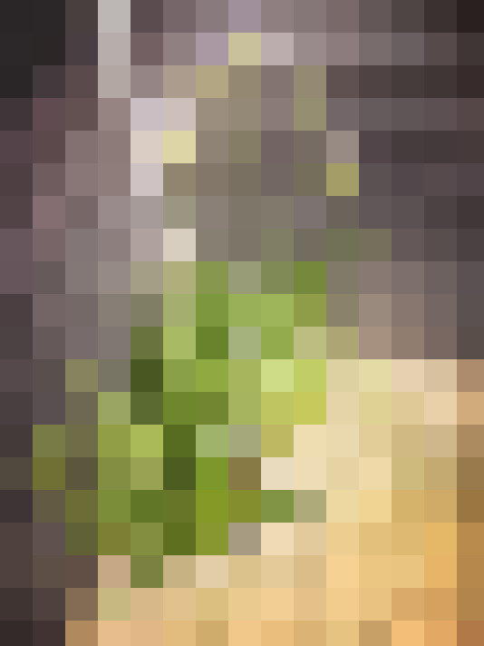 Image 24