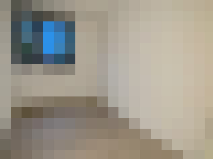  / #10