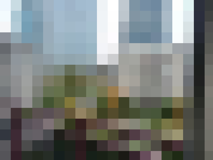 Image 17