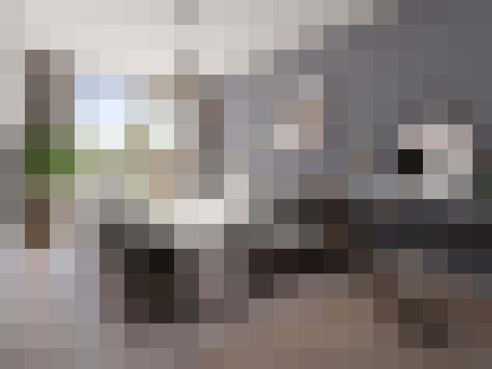 Image 15