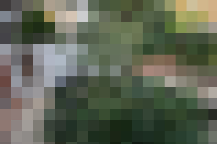 Image 27