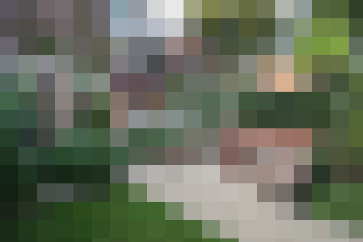 Image 23