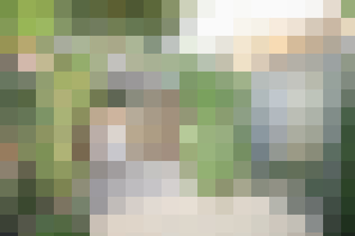 Image 20