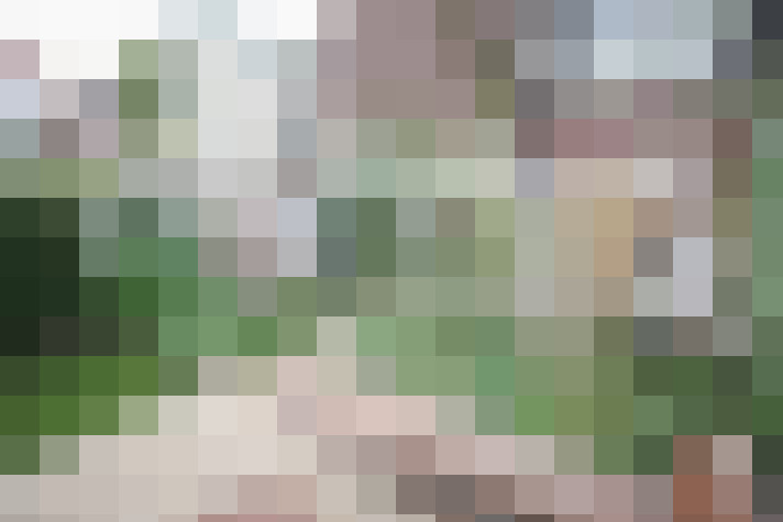Image 24
