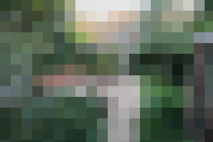 Image 26