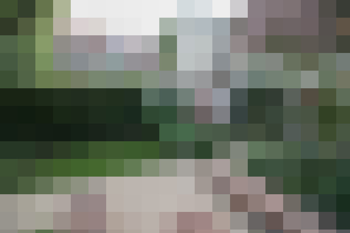 Image 25
