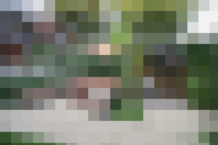 Image 22