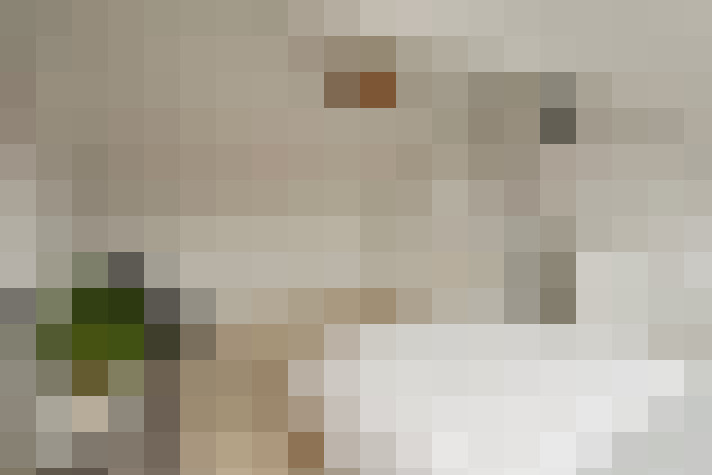  / #20