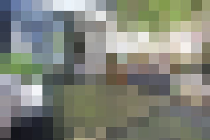 Image 23