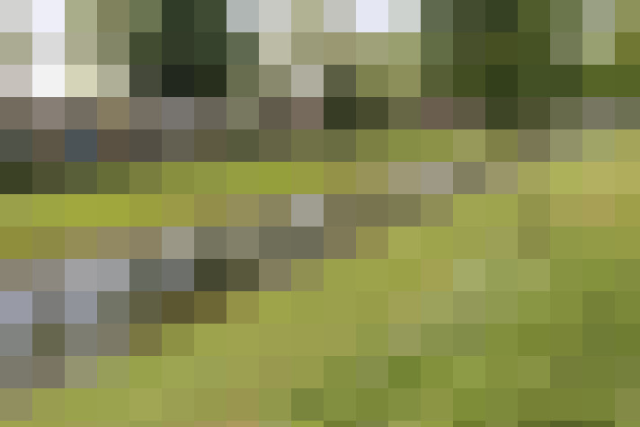  / #16