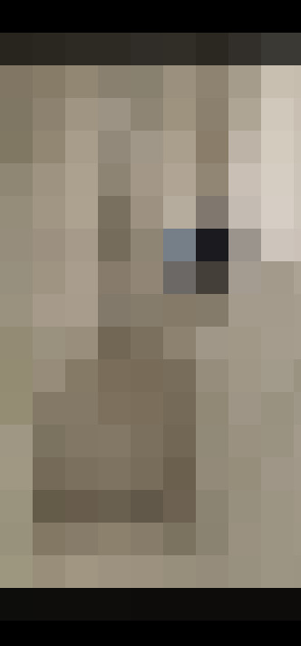 Image 28