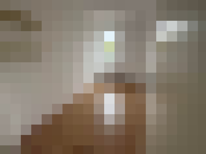  / #8