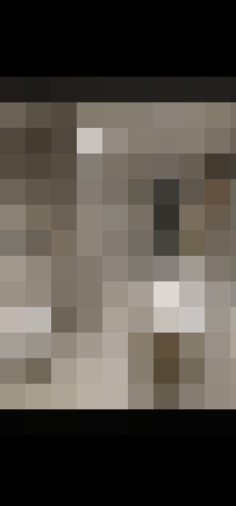 Image 28