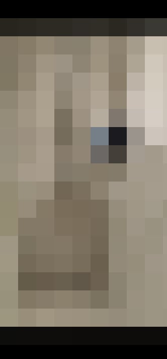 Image 32