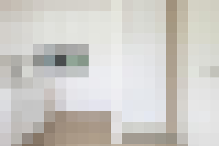 Image 29