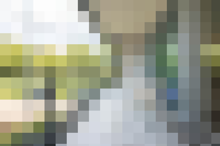 Image 24