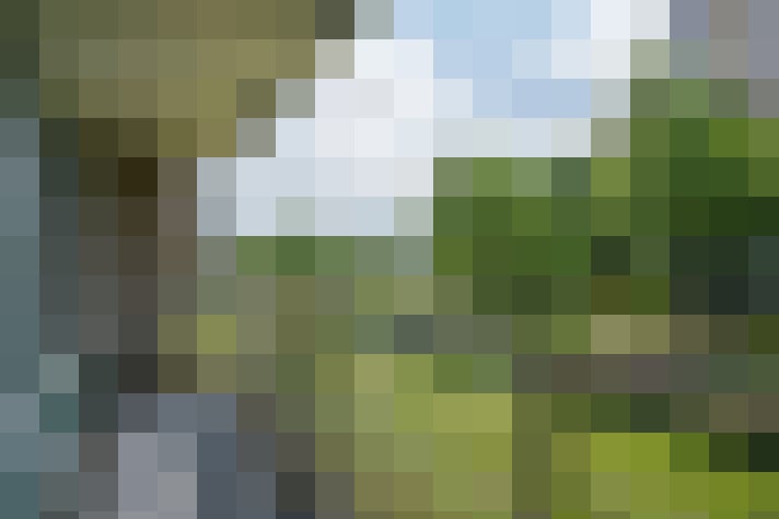 Image 14