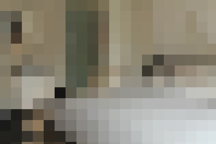 / #19