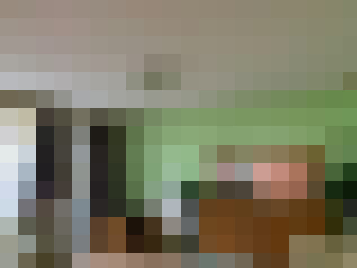 Image 20