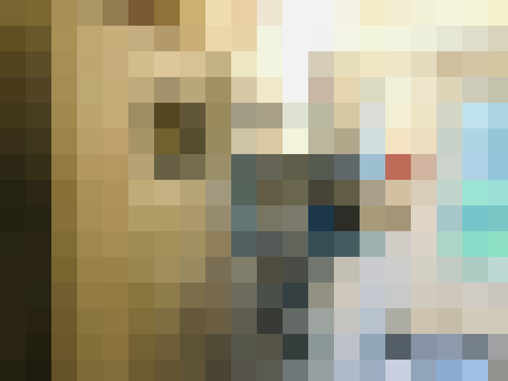 Image 15
