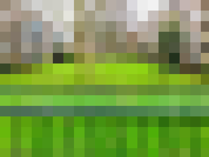 Image 16