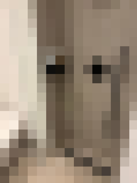  / #16