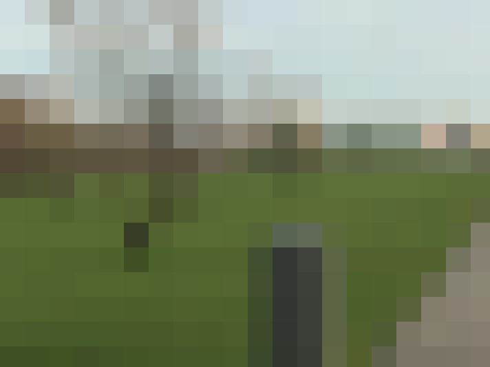 Image 23