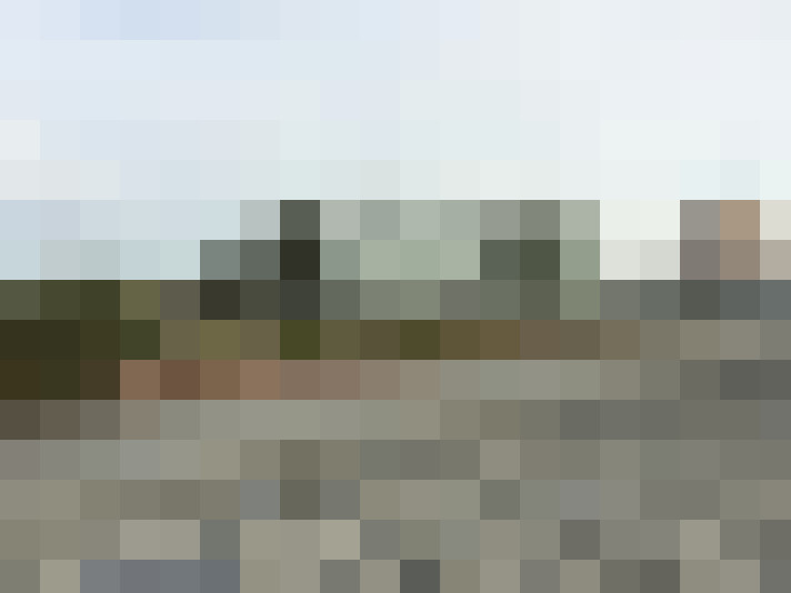 Image 25