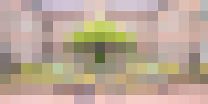 Image 22