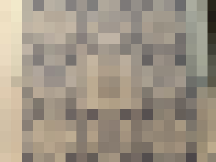 Image 29