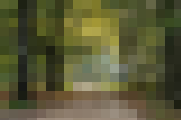 Image 27