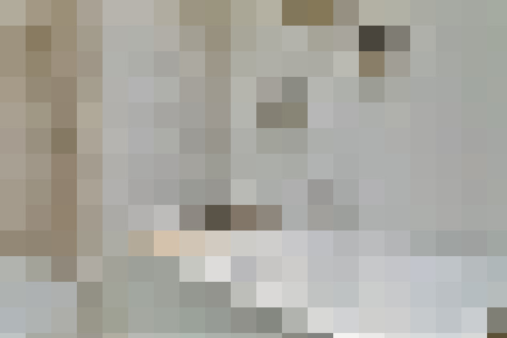  / #18