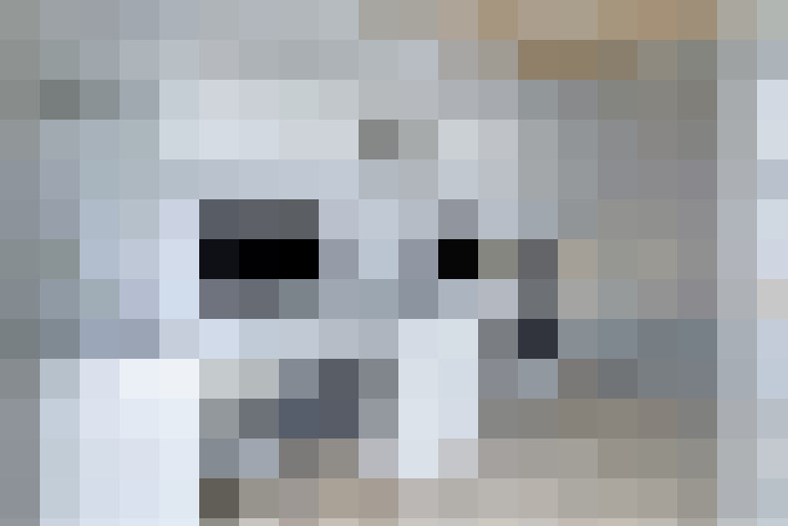  / #24