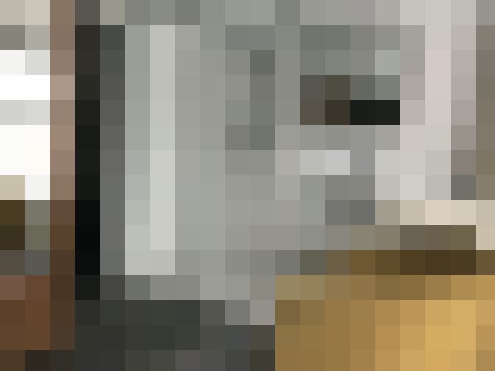 Image 22