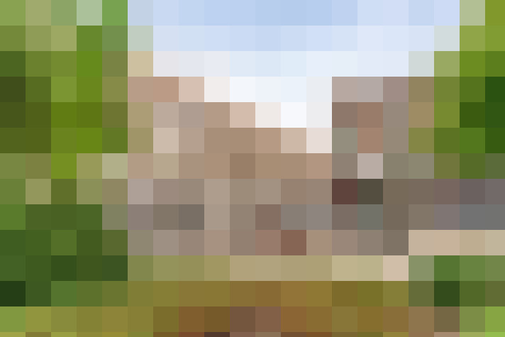 Image 14