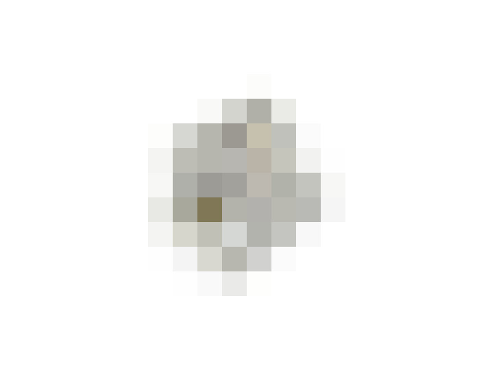  / #19